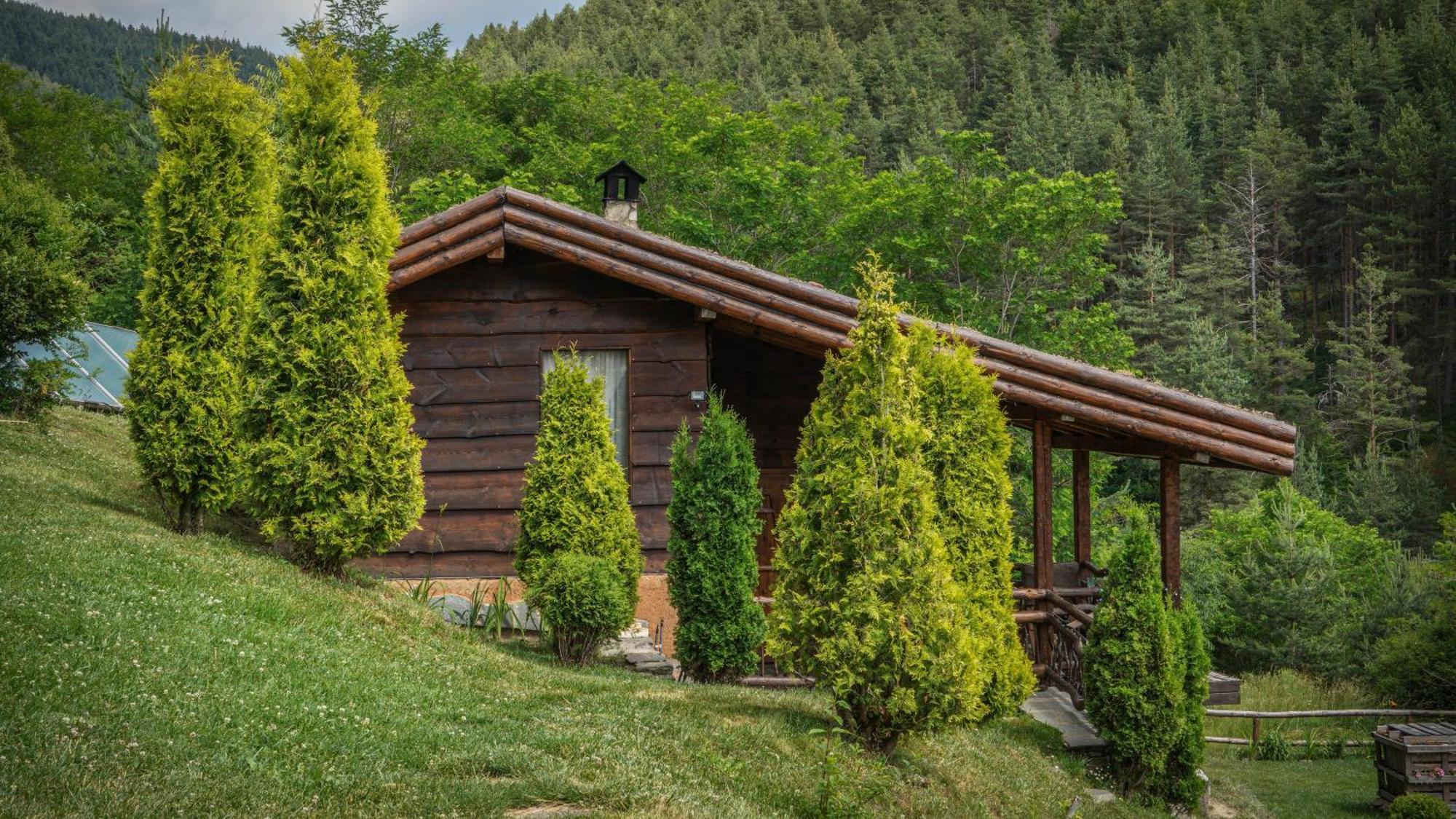 Панорама Хаус Лещен И Еко Къщи Дървена И Землянка Eksteriør bilde